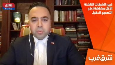 خبير: الشركات الناشئة الأكثر هشاشة أمام التصحيح المقبل