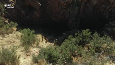 الحجر الجيري.. صخور حية