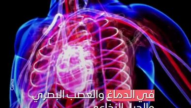 فيتامين D والتصلب المتعدد.. هل هناك أي صلة؟