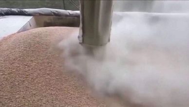 دينيز إستقبال: هناك حاجة لاستعادة سريان صفقة الحبوب أو إيجاد صيغة بديلة