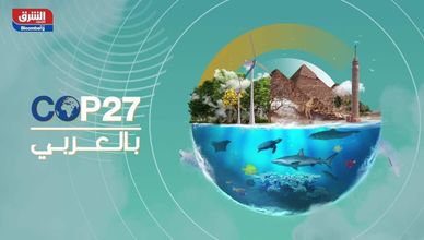 cop 27 بالعربي - يوم إزالة الكربون