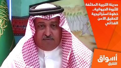 مدينة التربية المكثفة للثروة الحيوانية.. خطوة استراتيجية لتحقيق الأمن الغذائي