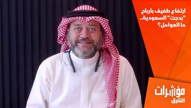 ارتفاع طفيف بأرباح "بدجت" السعودية.. ما العوامل؟