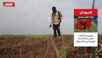 كردفان السودان.. ثروة طبيعية وموقع استراتيجي فريد