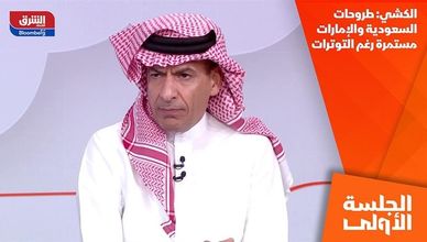 الكشي: طروحات السعودية والإمارات مستمرة رغم التوترات