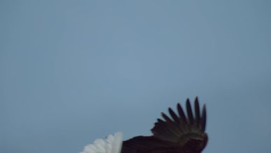 مقاتلو الممرات المائية