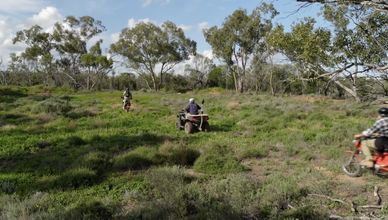 ظلال فروغيز