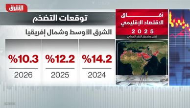 آفاق الاقتصاد الإقليمي 2025.. صندوق النقد يرفع توقعاته