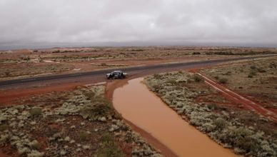 فرقة "سليم بيكنغز"