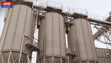 حصاد القمح في مصر.. مستهدفات قياسية لتقليص فاتورة الاستيراد