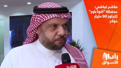 هاشم غباشي: محفظة "أكوا باور" تتجاوز 90 مليار دولار