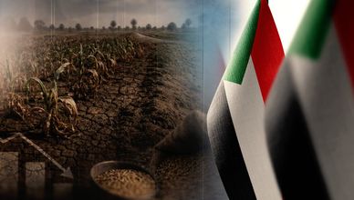 الجفاف في السودان.. نقص الأمطار والري يهددان إنتاج الحبوب