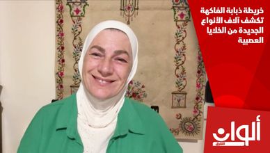 خريطة ذبابة الفاكهة تكشف آلاف الأنواع الجديدة من الخلايا العصبية