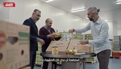 هاني دغمان - وليد معلم - فريد أبو جخ
