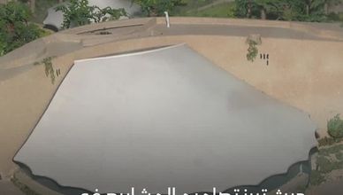 العمارة السلمانية
