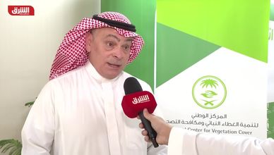 السعودية تعلن زراعة أكثر من 14 مليون شجرة "مانجروف"