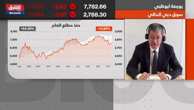 ريمي مارسيل فيليرابيل : هناك تنويع في الاقتصاد بالسعودية والإمارات بعيداً عن النفط