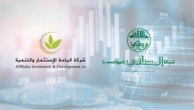 سلسلة خسائر لشركة "المصافي".. وسهم "الباحة" يرتفع 100% خلال 9 جلسات