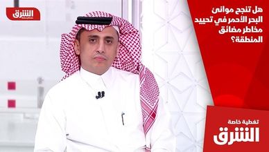 هل تنجح موانئ البحر الأحمر في تحييد مخاطر مضائق المنطقة؟