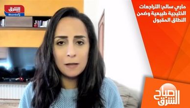 ماري سالم: التراجعات الخليجية طبيعية وضمن النطاق المقبول