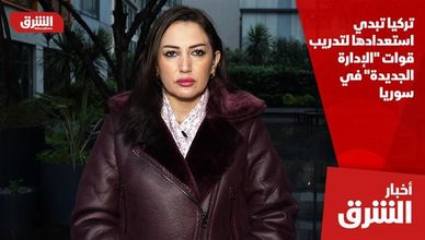 تركيا تبدي استعدادها لتدريب قوات "الإدارة الجديدة" في سوريا