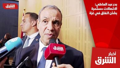 بدر عبد العاطي: الاتصالات مستمرة بشأن اتفاق في غزة