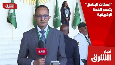 "إسكات البنادق" يتصدر القمة الإفريقية