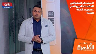 الاستخدام العشوائي للمضادات الحيوية في مصر يهدد الصحة العامة