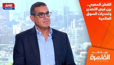 القطن المصري.. بين فرص التصدير وتحديات السوق العالمية