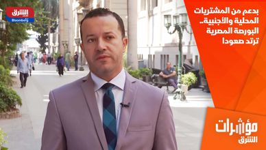 بدعم من المشتريات المحلية والأجنبية.. البورصة المصرية ترتد صعودا