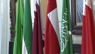 العلمي: العديد من دول العالم بدأت تتحول من العولمة إلى الأقلمة