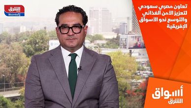 تعاون مصري سعودي لتعزيز الأمن الغذائي والتوسع نحو الأسواق الإفريقية