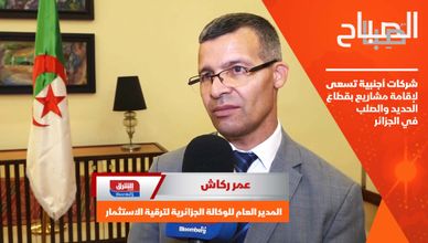 شركات أجنبية تسعى لإقامة مشاريع بقطاع الحديد والصلب في الجزائر