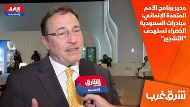 مدير برنامج الأمم المتحدة الإنمائي: مبادرات السعودية الخضراء تستهدف "التشجير"