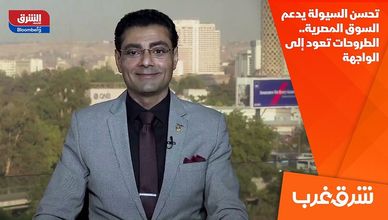 تحسن السيولة يدعم السوق المصرية.. الطروحات تعود إلى الواجهة