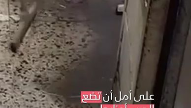 ‏فلسطينيون يعودون إلى منازلهم المدمرة في غزة‎