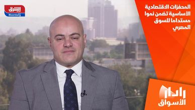 المحفزات الاقتصادية الأساسية تضمن نموا مستداما للسوق المصري