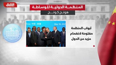 المنظمة الدولية للوساطة.. ما دورها؟