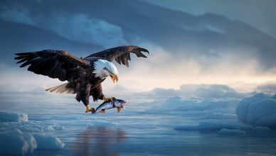 هبة الجليد.. شمال اليابان البري