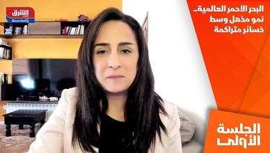 البحر الأحمر العالمية.. نمو مذهل وسط خسائر متراكمة وضبابية مالية
