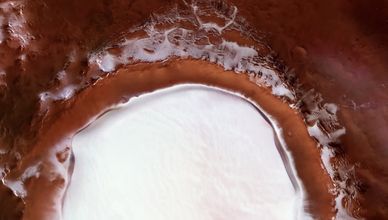 نشأة الحياة