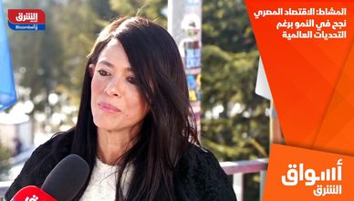 المشاط: الاقتصاد المصري نجح في النمو برغم التحديات العالمية