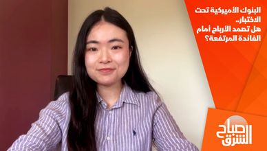 البنوك الأميركية تحت الاختبار.. هل تصمد الأرباح أمام الفائدة المرتفعة؟