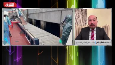 الحمى والصداع ليسا النهاية.. «هانتا» يضرب الرئتين والكلى