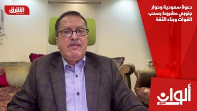 دعوة سعودية وحوار جنوبي مشروط بسحب القوات وبناء الثقة