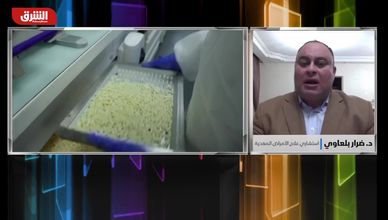 البيئة والحيوان والإنسان.. ضحايا الإفراط بالمضادات الحيوية