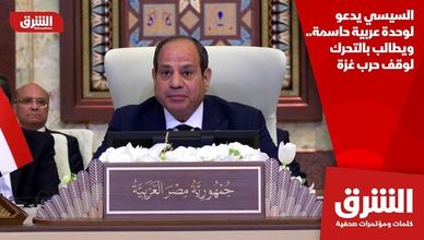 السيسي يدعو لوحدة عربية حاسمة.. ويطالب بالتحرك لوقف حرب غزة