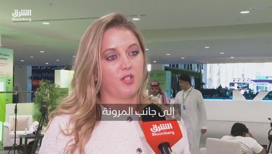 الشركات الناشئة تبحث عن النمو.. التراخيص والتمويل يحددان السرعة