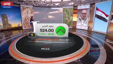 هل تقترب مصر من الاكتفاء الذاتي في القمح؟