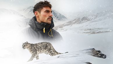 نمور الثلوج مع دان أونيل